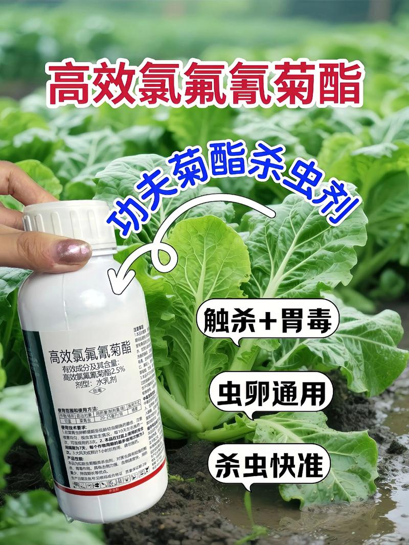 阳泉代生中心:农药对供卵代生妈妈的危害